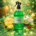 Erba – Parfum D'Intérieur 250Ml